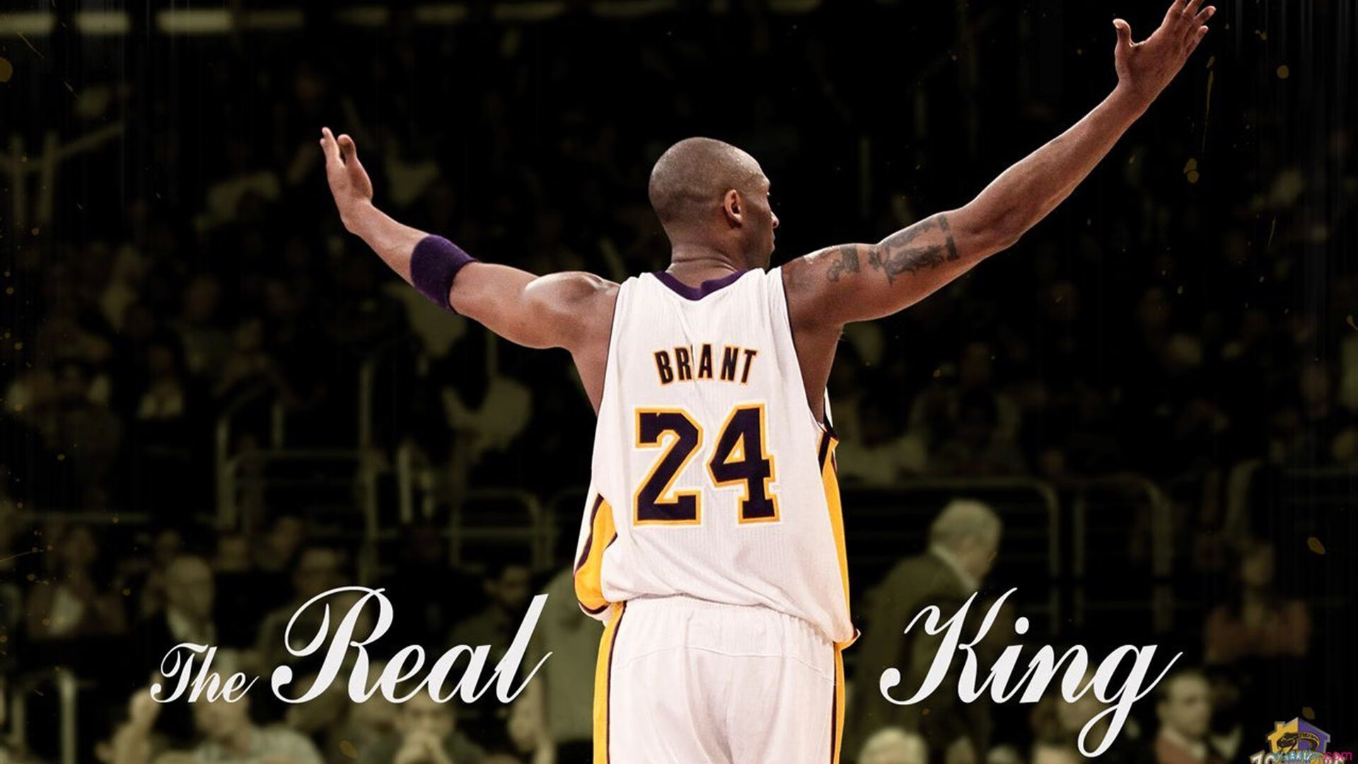 AYX GAME-主播与职业战队合作模式日渐成熟，职业队和主播大神区别