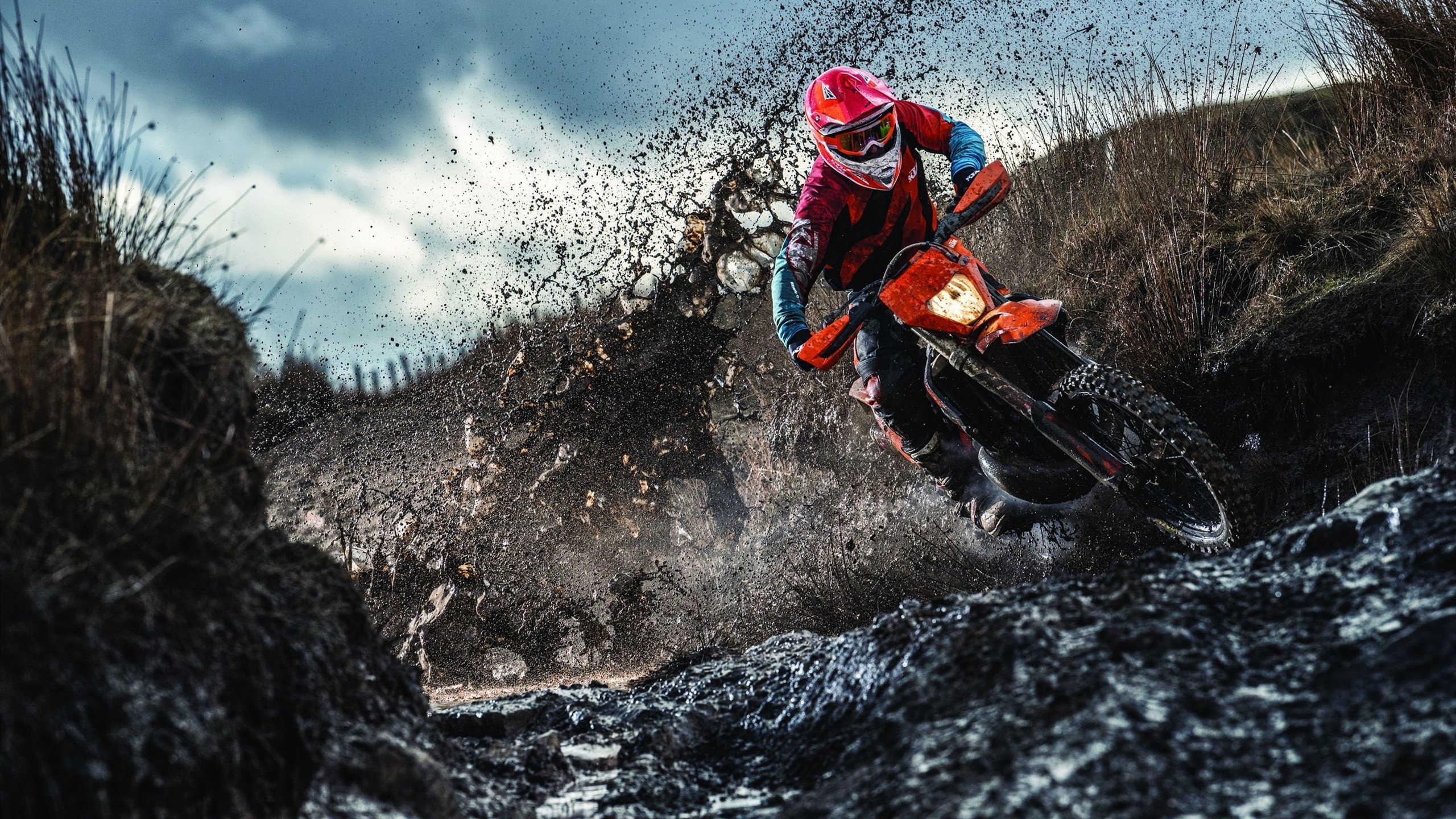 青训成果逐步纳入国家体育发展战略,推动我国足球迈向新台阶,青训体系是什么意思